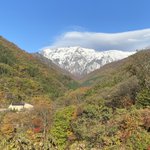【公式】別邸 仙寿庵 みなかみ温泉郷 谷川温泉のツイート画像