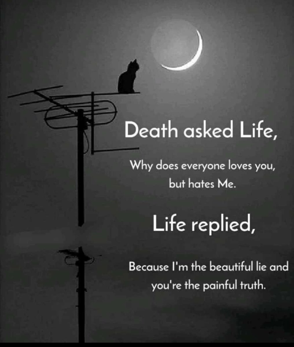 EVERYTHING GOT ITS OWN PURPOSE