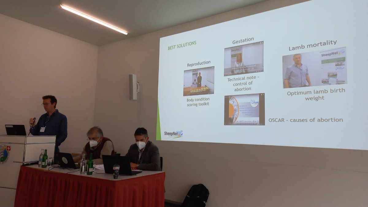 InstitutElevage's tweet image. #EAAP2021 | Session 5⃣4⃣ &quot;Sheep &amp;amp; goats management &amp;amp; reproduction&quot; 🐑
🔸 #IdeleEAAP2021 ➡ Notre collègue Jean-Marc Gautier sur #SheepNet : the technical and practical knowledge reservoir to increase EU sheep productivity
@EAAP2021