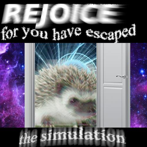 the time to rejoice has arrived.