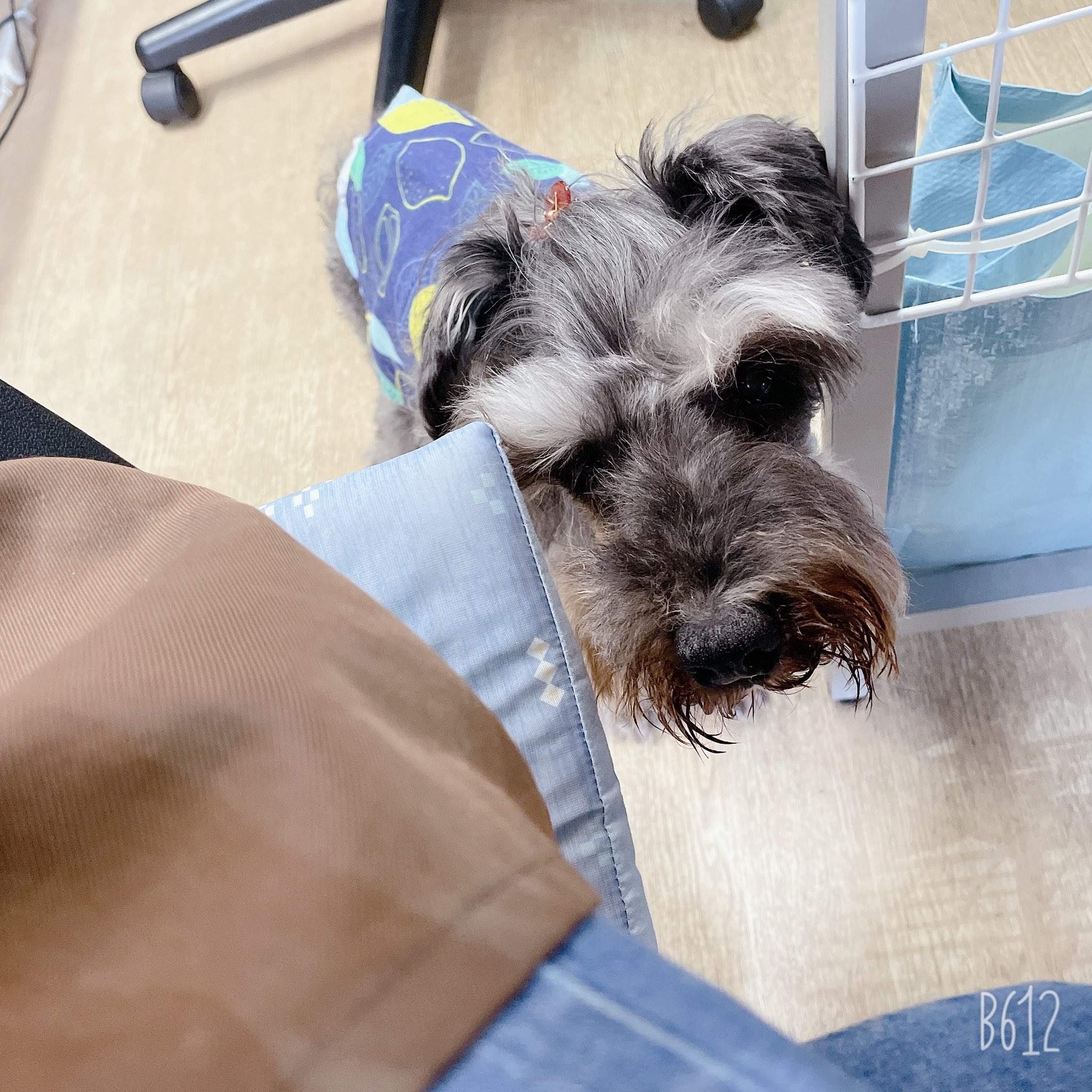 視線 Twitter検索 Twitter