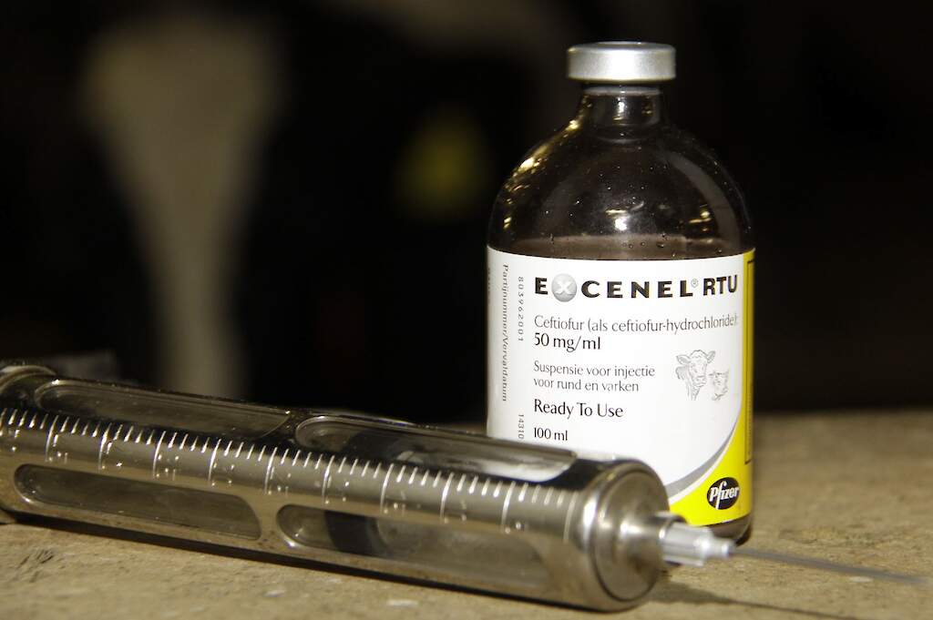se_melkvee's tweet photo. Dierenartsen ondernemen actie tegen uitsluiten antibiotica voor dieren | https://t.co/KKmvxsBjiV https://t.co/B7PX3C84ko https://t.co/dh1Z77q5zg