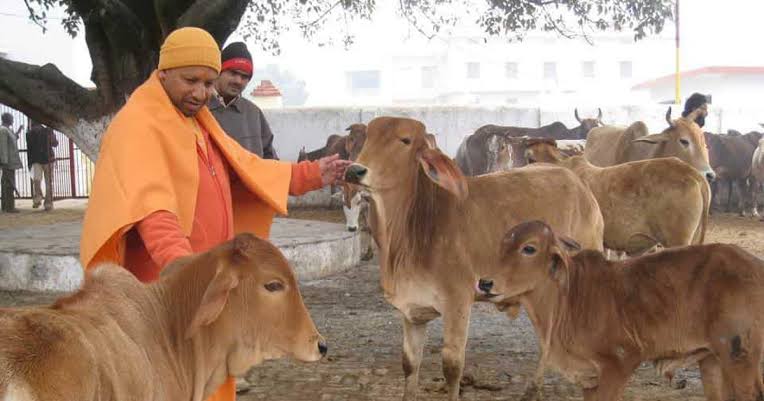 DeepakB45035338's tweet photo. हम भारतीय गाय को पशु नहीं माता मानते हैं 🙏🙏
#राष्ट्रीय_पशु_गौ_माता
#राष्ट्रीय_पशु_गौ_माता 
#राष्ट्रीय_पशु_गौ_माता 
#राष्ट्रीय_पशु_गौ_माता https://t.co/bH8O8OfugH