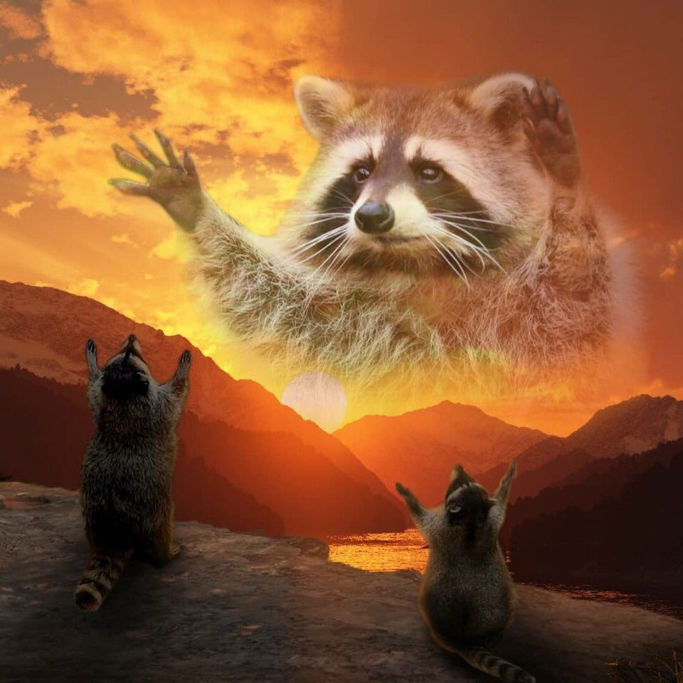 Nocturnal Trash memes