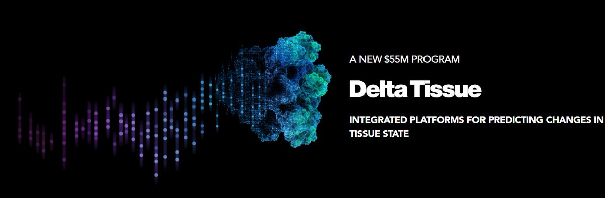 Assaf Zaritsky tweet media