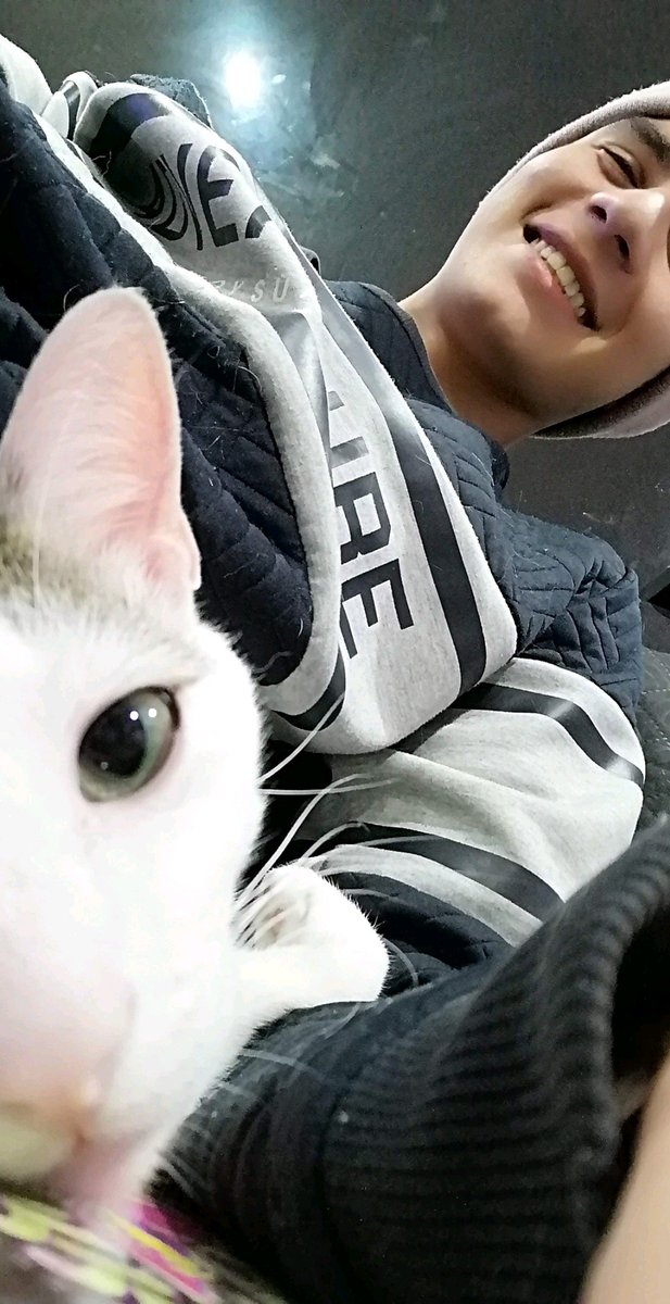 http_felipe_01's tweet image. Snow ❤️