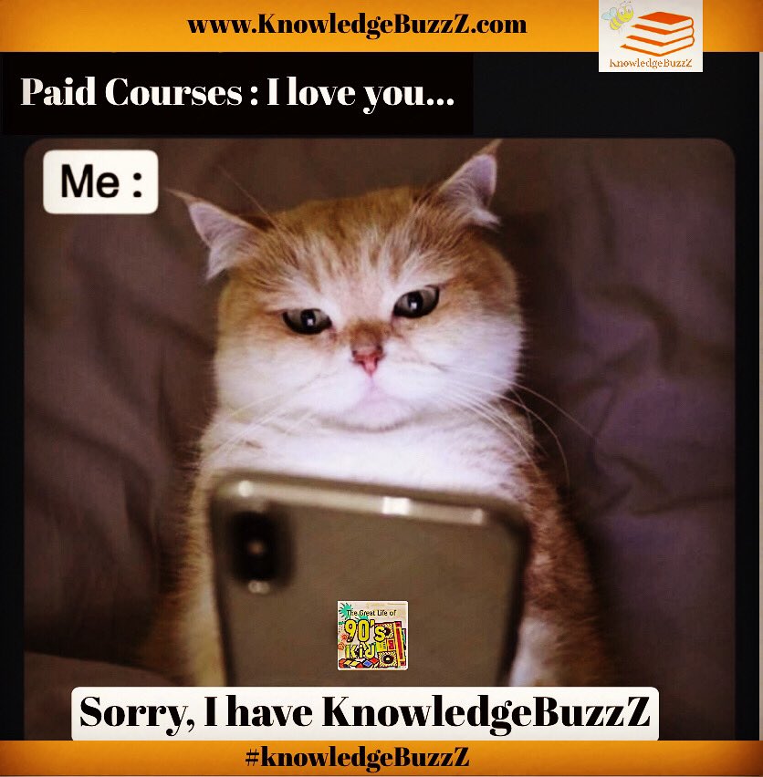 TheGreatLifeo90's tweet photo. KnowledgeBuzzZ buzz free Certification courses even cat knows that..😼

@cobythecat @smoothiethecat @nala_cat  #catsofinstagram #catlife 

#memeworld @thegreatlifeof90 #thegreatlifeof90 #knowledgebuzzz 

https://t.co/5BVmtF7B8U https://t.co/c2FYxv7LNH