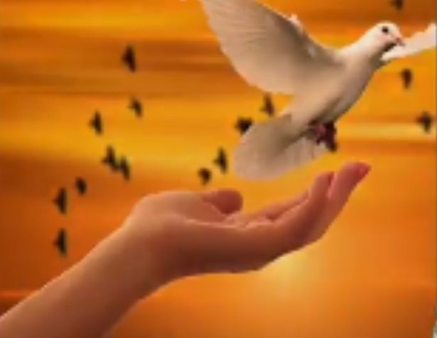 Dağlar insanlar ve hatta ölüm bile yorulduysa Şimdi en güzel şiir BARIŞTIR . 🌹 ✌️
#YaşarKemal
#Günaydın Emekçiler Yoldaşlar
#Perşembe
#Umuda 💜