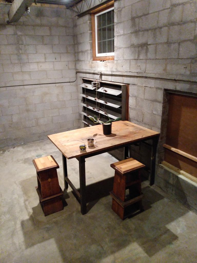 CorkyCox's tweet image. #pricklypearcactus #Cactus from texas the stools i made for the home bar and im cutting it up. The #draftingtable is a #brooklynny made #stacor with a #maple n well used tilt top.  New / old place for #design and general arting off #ArtistOnTwitter #designthinking #artshare 🏜️🦉