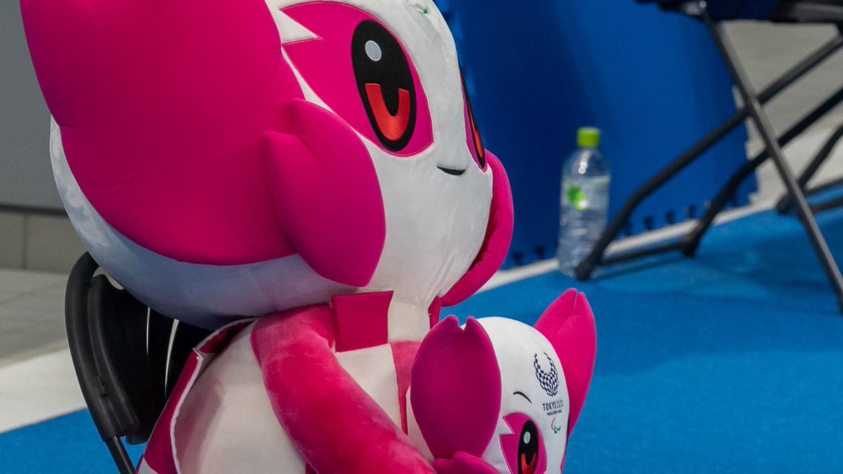 Hungarian Paralympic Team tweet media