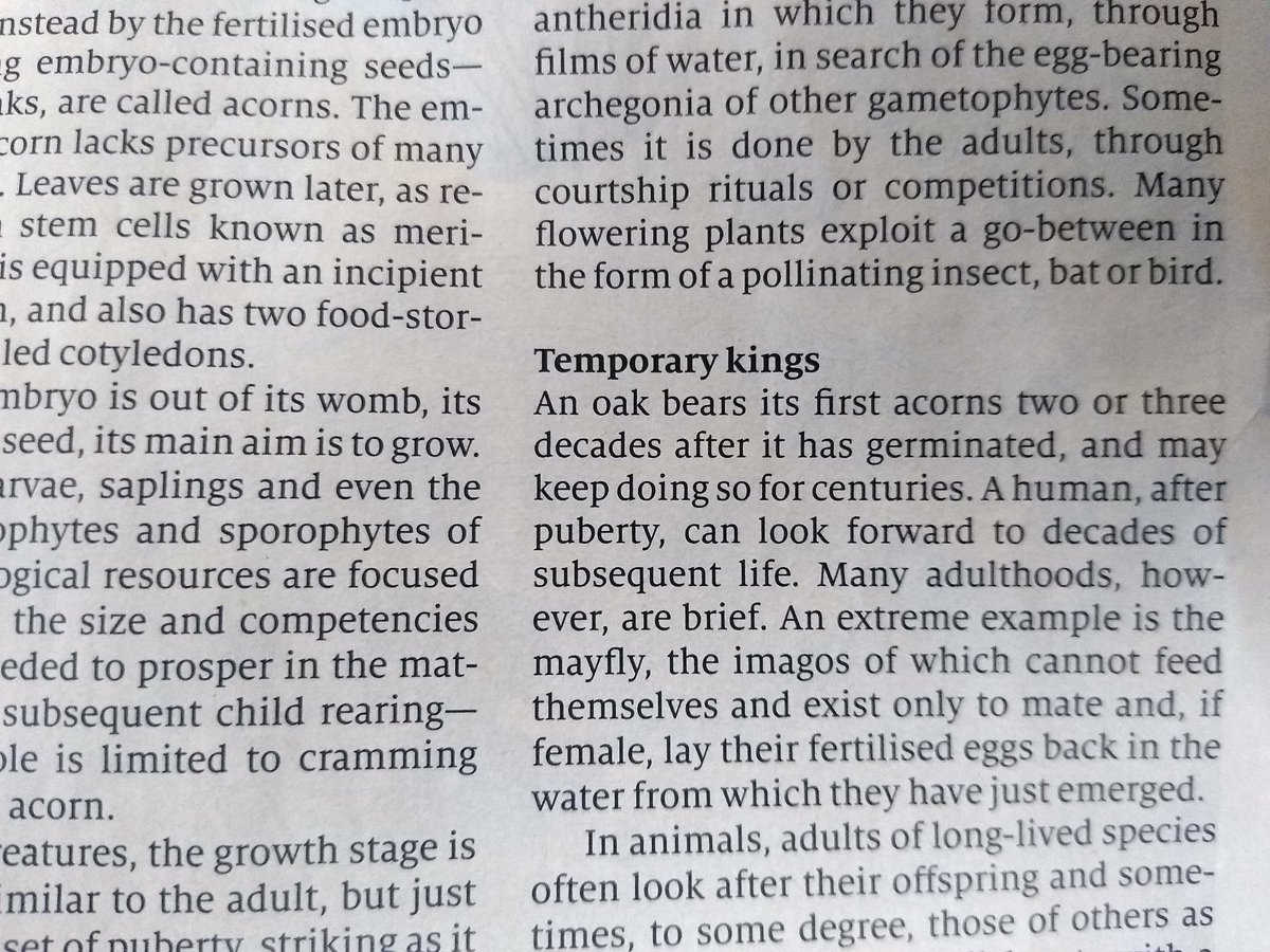 The <a href="/TheEconomist/">The Economist</a> slips Anthony Powell references into its biology brief. Good work #anthonypowell #books