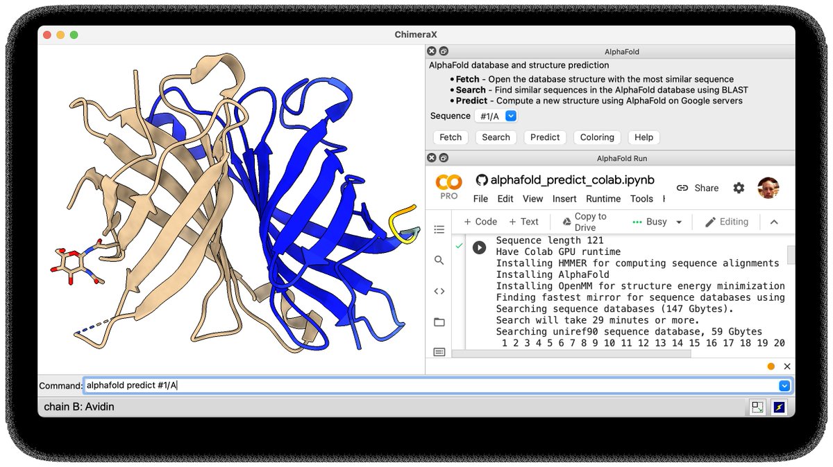 ChimeraX (bsky: chimerax.ucsf.edu) tweet media