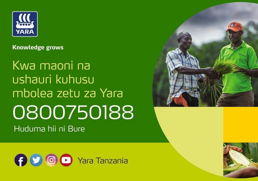 TanzaniaYara's tweet photo. Mabwana shamba wetu ni wataalamu na wako tayari kukusaidia. Kwa swali lolote kuhusu mbolea zetu. Tupigie kupitia namba yetu ya huduma kwa wateja. #YaraTanzania #Knowledgegrows #Mboleazenyeubora https://t.co/V25Mtkdqhm