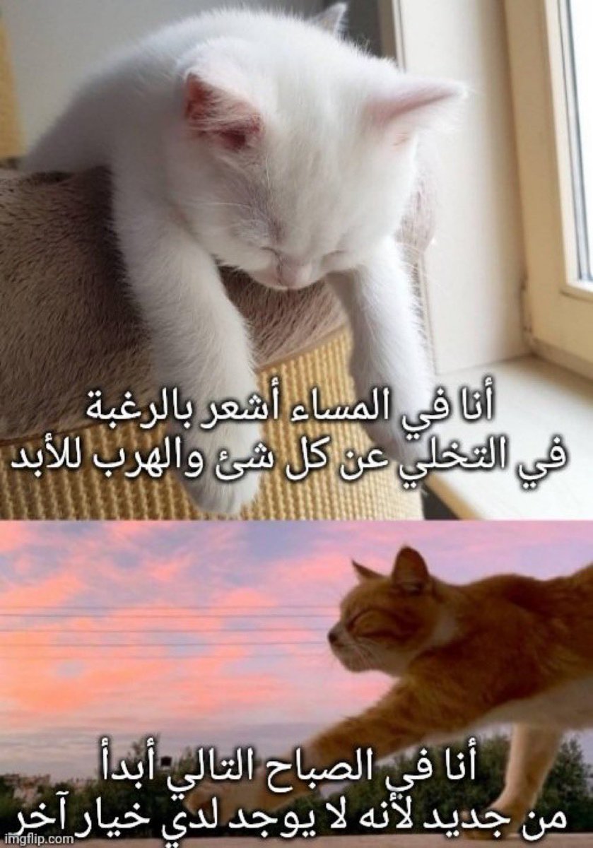 ii1Abdulrahman's tweet photo. https://t.co/aAFrFeMkbt