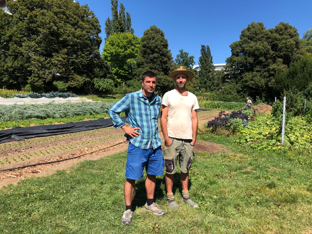 "La production de nourriture ne devrait pas reposer seulement sur les épaules des agriculteurs." Immersion en ferme urbaine avec l'agriculteur Martin Bastide : podcastics.com/podcast/episod… #Genève #FermedeBudé