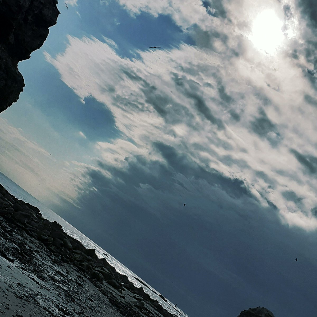 pipsy80's tweet image. I need a change. 
Adventure is calling. 
Anyone need a Co-Worker on a mission to Mars? then I&apos;m ya girl!
#bored #needsomefun #adventuretime