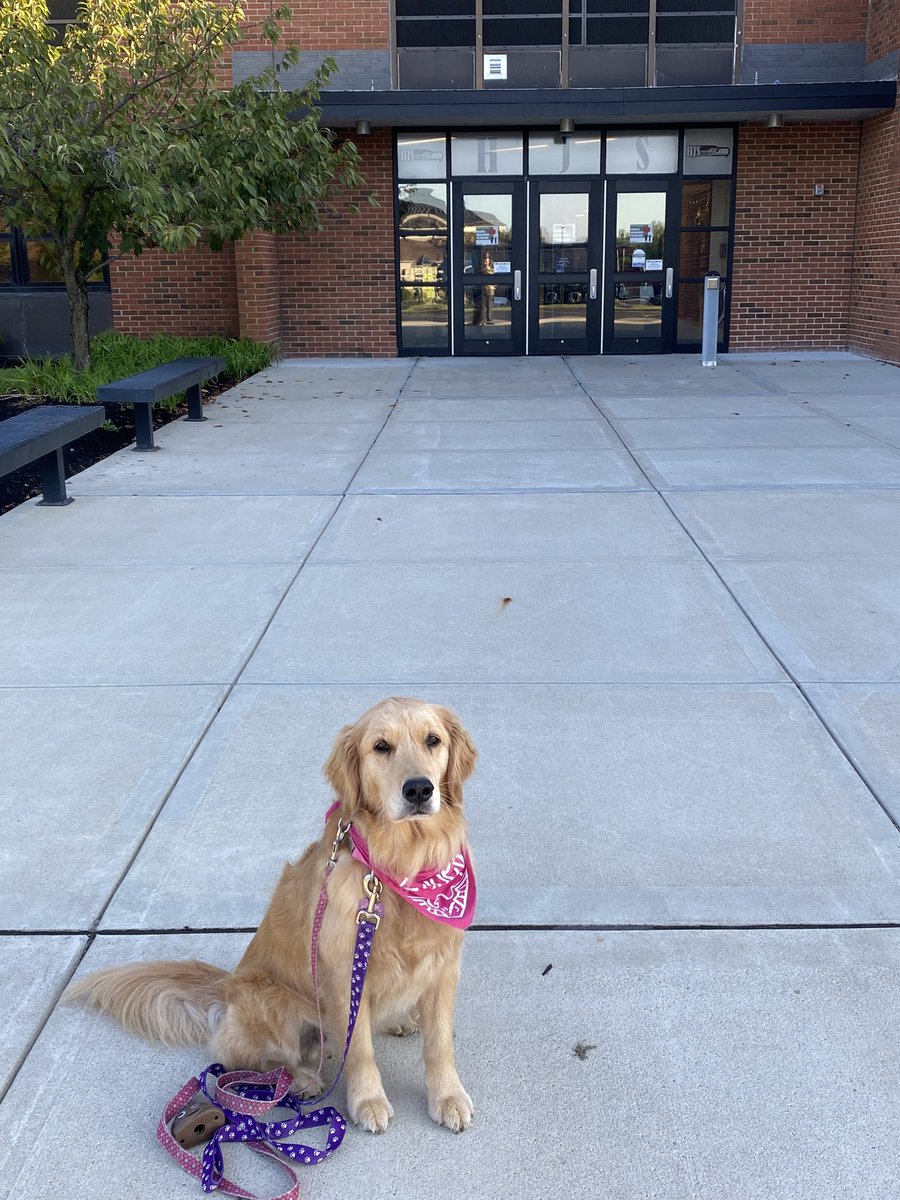 HopewellPride's tweet photo. Have a Thunderific Thursday HJS! #WeAreBetterTogether https://t.co/p80T0vXujC