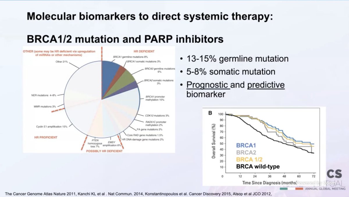 FlorenciaNoll's tweet photo. #IGCS2021 Master session #OvarianCancer 🚨
Novel therapeutics 👉#biomarkers #PARPi #BRCA
#HRDtesting #Genomics
@myESMO @IGCSociety @IJGConline @ESGO_society @OncoAlert @ovariancancerco @IGCSociety @IJGCfellows https://t.co/b0Bew7ypfF