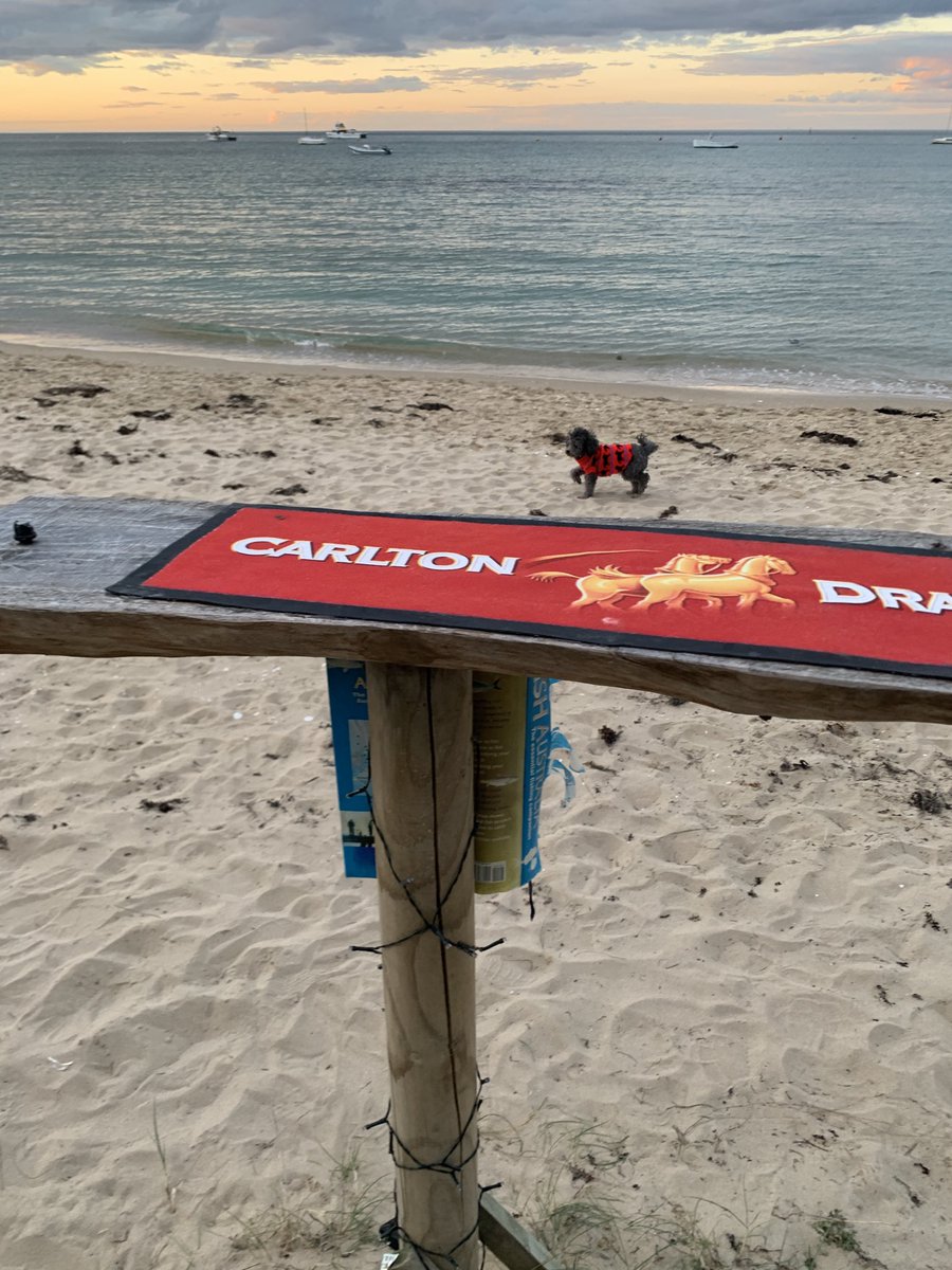 spunkybash's tweet image. #frontbar doomsday refreshment committee.