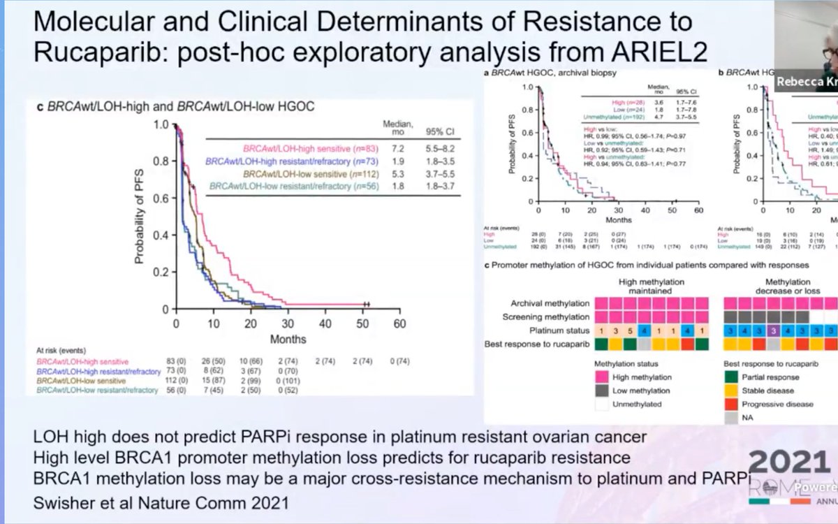 FlorenciaNoll's tweet photo. #IGCS2021 Master session #OvarianCancer 🚨
Novel therapeutics 👉#biomarkers #PARPi #BRCA
#HRDtesting #Genomics
@myESMO @IGCSociety @IJGConline @ESGO_society @OncoAlert @ovariancancerco @IGCSociety @IJGCfellows https://t.co/b0Bew7ypfF