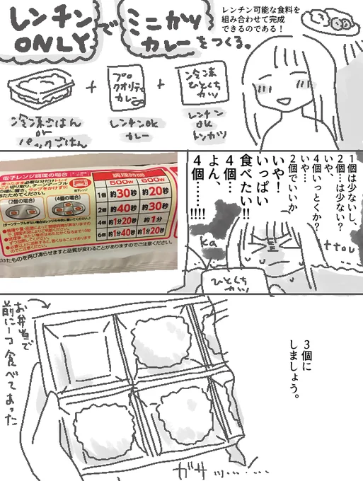 できた。手作りカツカレー夜バーガーちゃん日記が。 