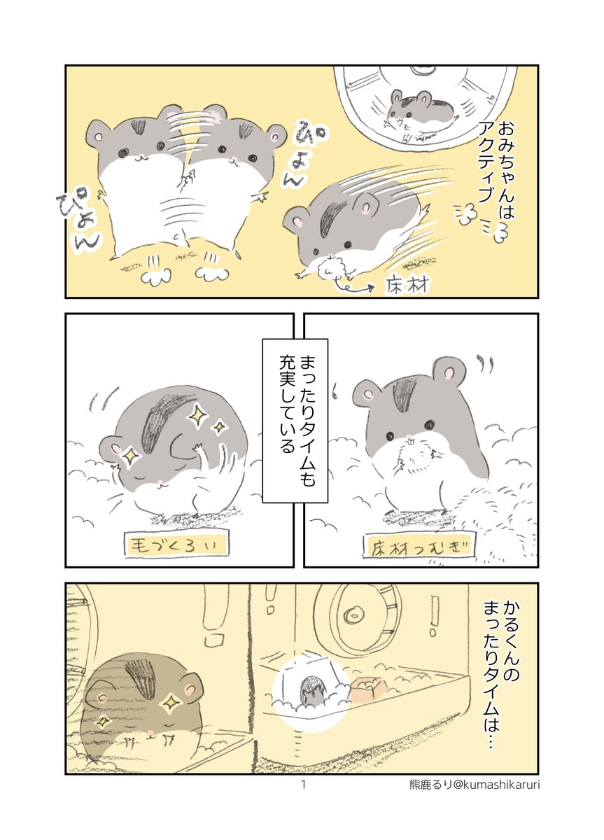 熊鹿るり Kumashikaruri Twitter