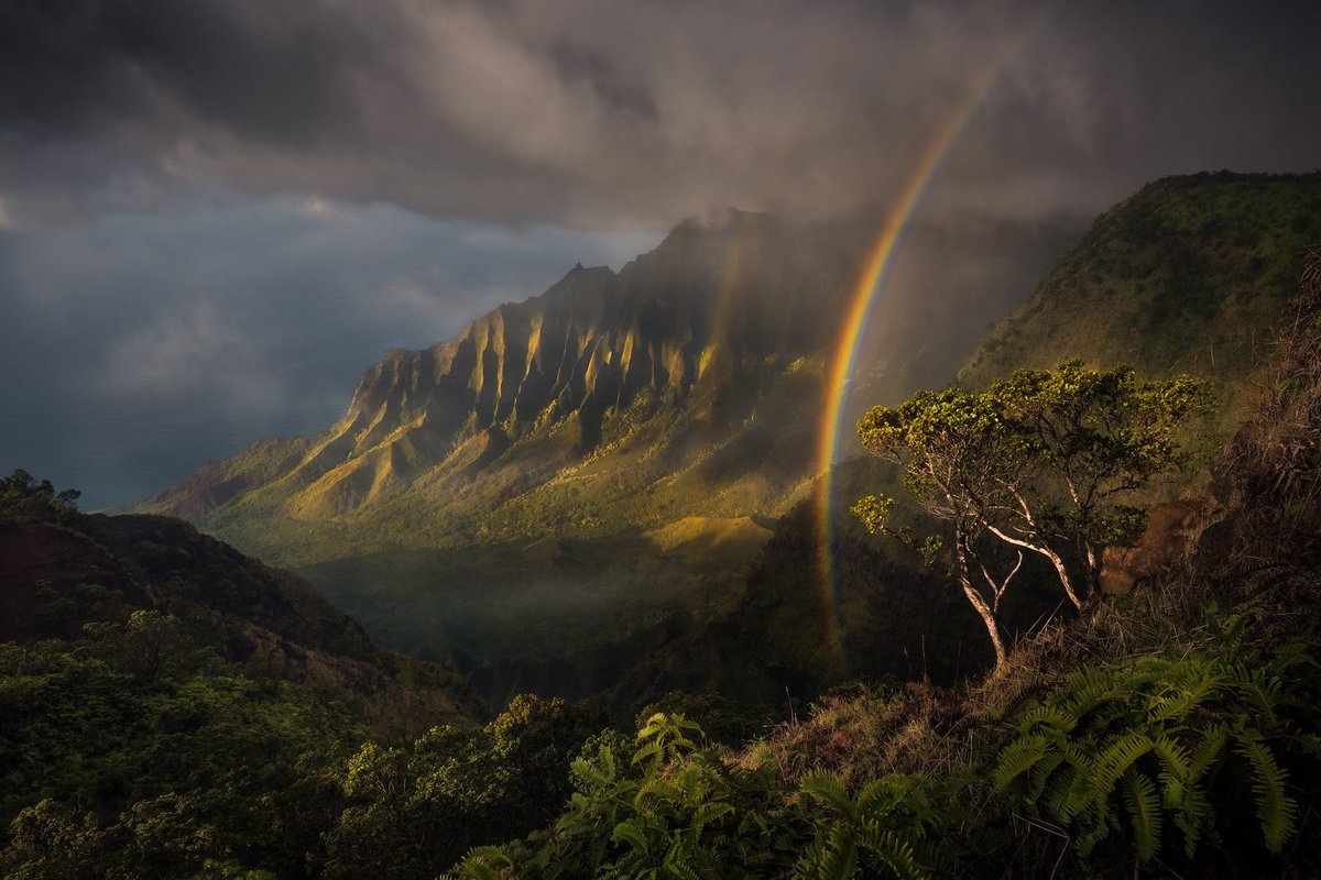 mattymeis's tweet photo. Jurassic - Kauai, Hawaii. An incredible display of light and atmosphere. #kauai #landscapephotography https://t.co/gpy1ITBbPy