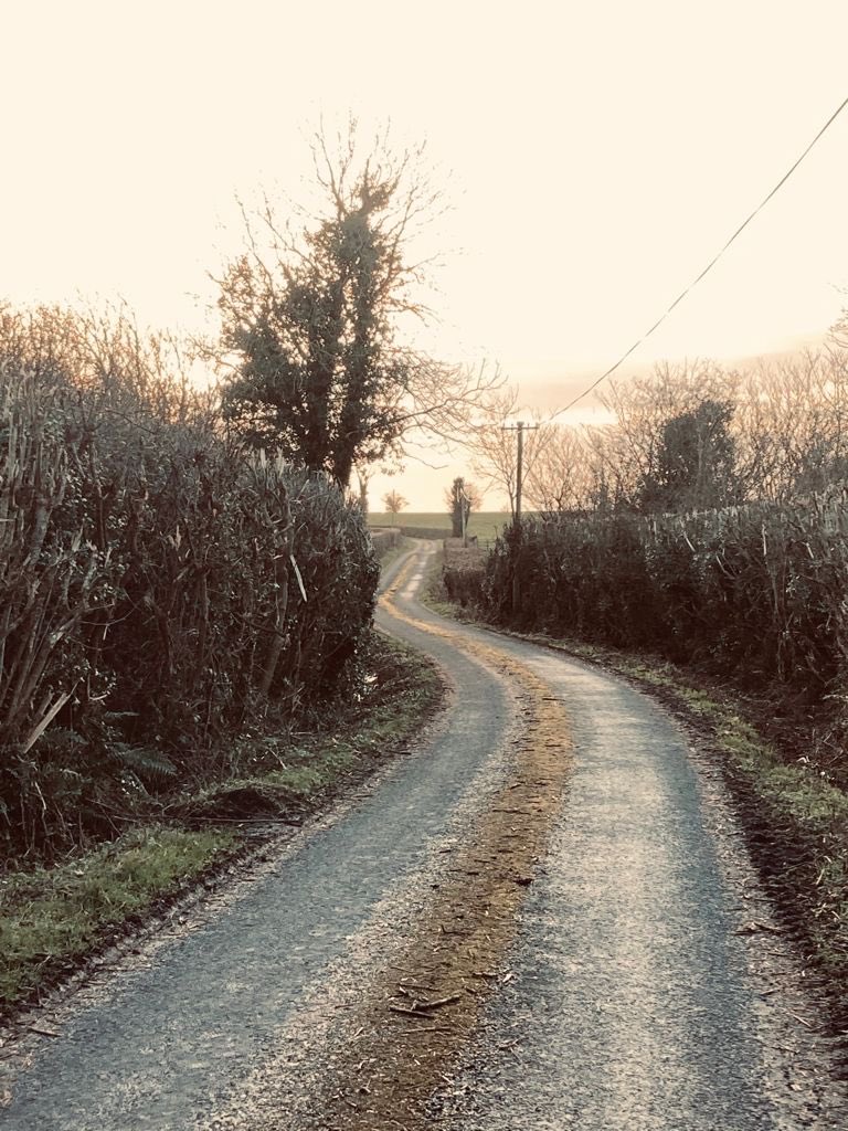 SChonglais's tweet photo. We at Scoil Chonglais wish all of our LC students the very best of luck on Friday. Here are some helpful links for students and parents, in accessing grades and taking the next step on your exciting journeys.  #SuccessSupportFriendship https://t.co/5iA7S9iKNc https://t.co/v6TC6Y1ARs