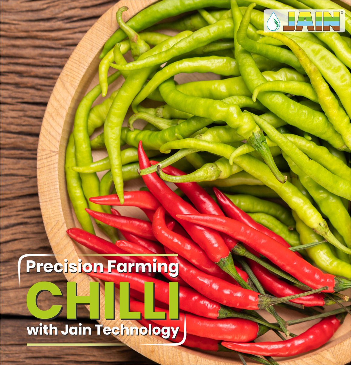 JainIrrigation's tweet photo. Hi-Tech cultivation practices for #ChilliFarming 🌶 by adopting #JainTechnology ✅🌱
Avail the benefits of gaining #BetterYieldGreaterProfits with experts suggested #dripline
#JTurboCascade #JTurboTop #JTurboExcel
#FarmersFirstChoice 👨🏻🌾
#MoreCropPerDrop 🌱💧
#Irrigation #JISL https://t.co/MzDLX7ymhT