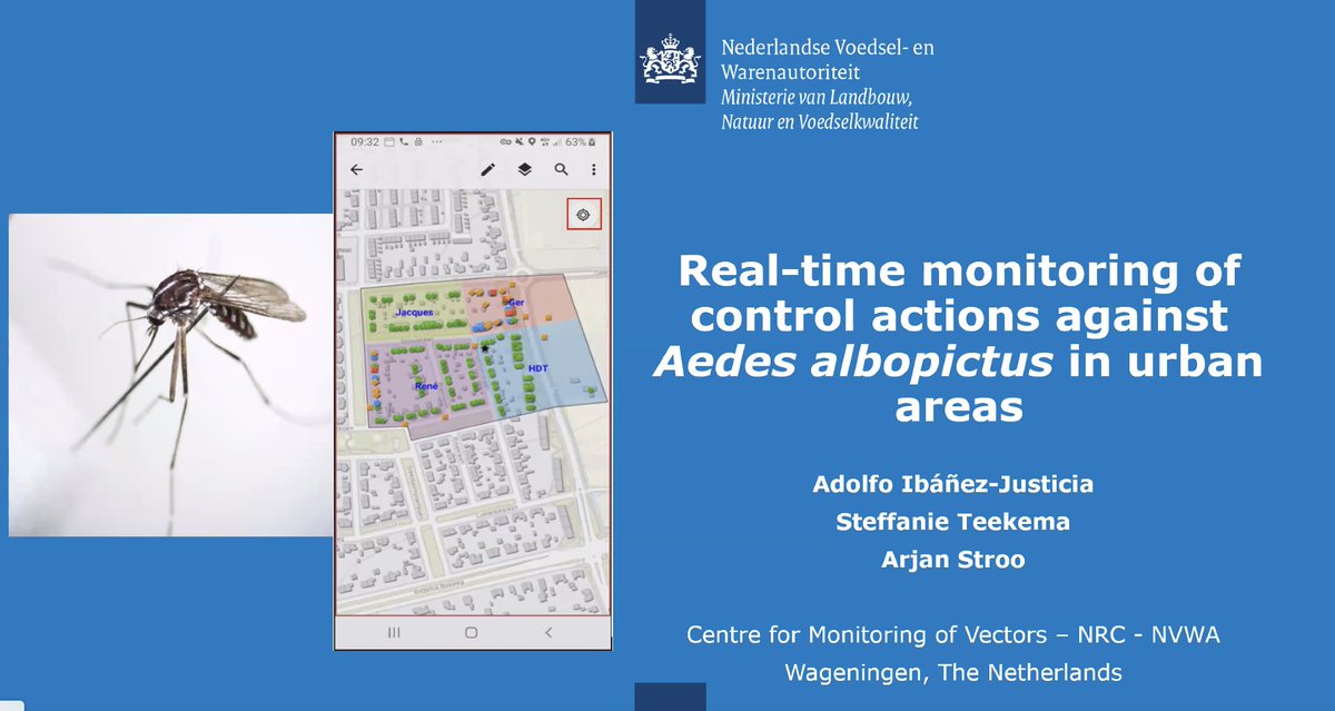 aedescost's tweet photo. 💻Talk: <<Precision real-time monitoring of control activities against Aedes albopictus in urban areas using GIS apps>>.
🗣️ @Ibanez_Bros from @_NVWA #Netherlands is describing their surveillance system for controlling #mosquito population, also as part of the #AIMSurv campaign 🦟 https://t.co/7Z1zOlCp7M