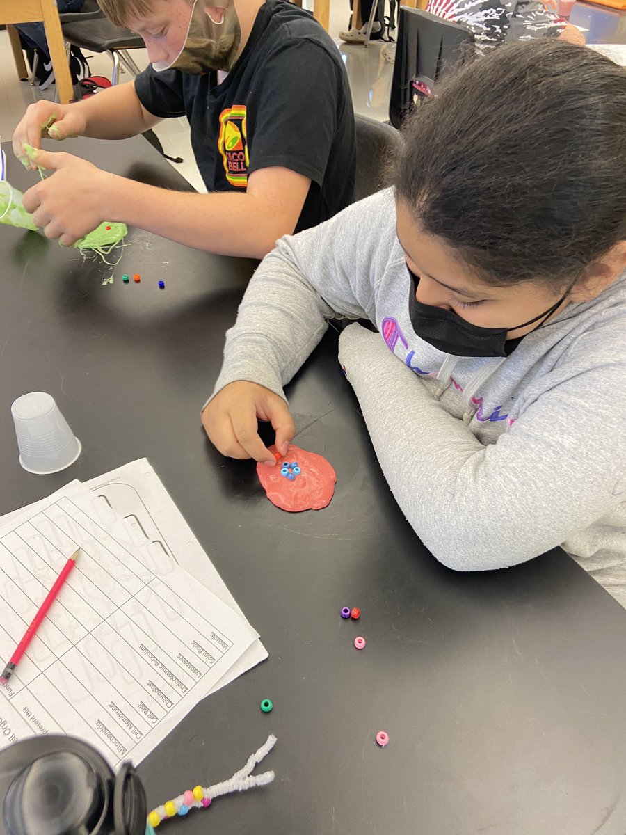 MsBoltTweets's tweet photo. We’re making models of cells using slime in Life Science today !! https://t.co/3KKY9pD6cq