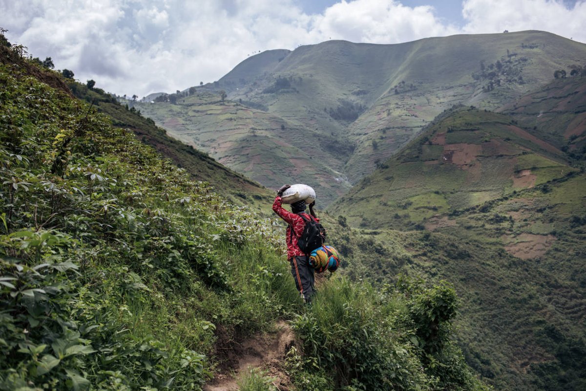 Unprecedented threats to #DRC rainforest. Leading environmental organizations urge the international community to act on a new plan to open up the world's second-largest #rainforest to industrial logging. <a href="/RainforestNORW/">Rainforest Foundation Norway (RFN)</a> &amp; global partners sound the alarm. regnskog.no/en/news/unprec…