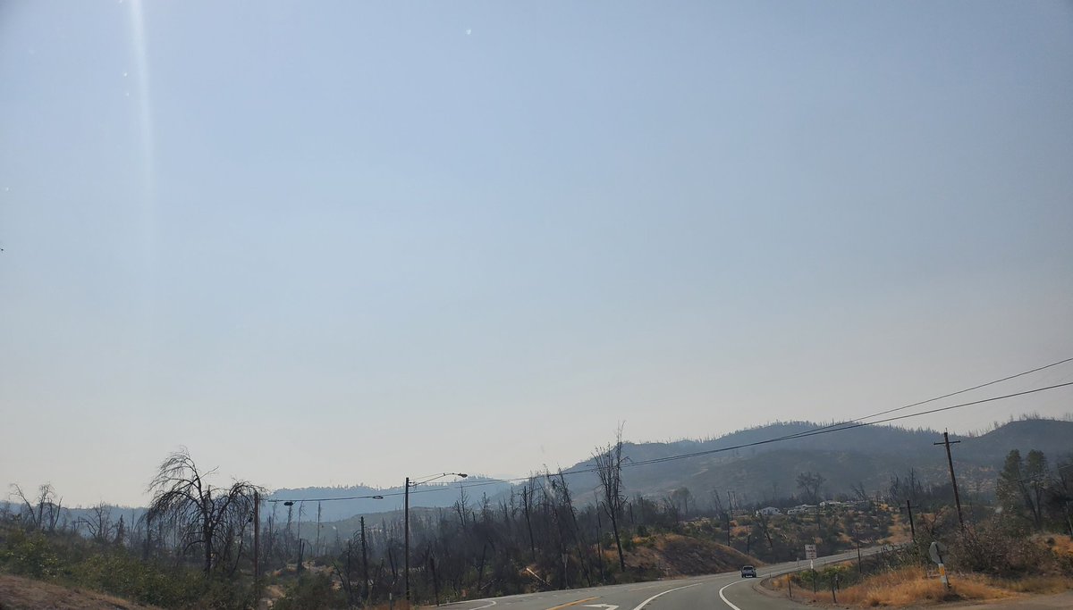 _AlleyAwesome's tweet image. Shasta, burn scar from 3 years ago, with new growth and smoke from the fires around #Shasta #shastatrinity #MonumentFire