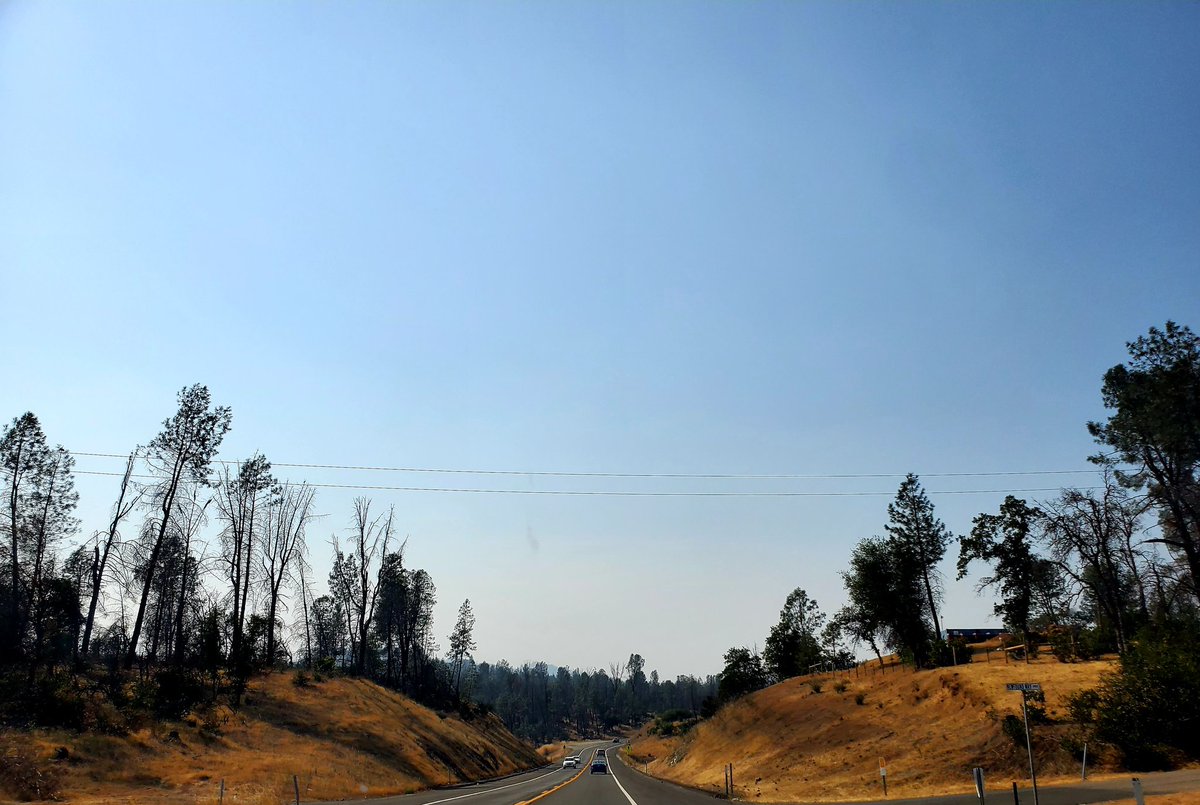 _AlleyAwesome's tweet image. Shasta, burn scar from 3 years ago, with new growth and smoke from the fires around #Shasta #shastatrinity #MonumentFire
