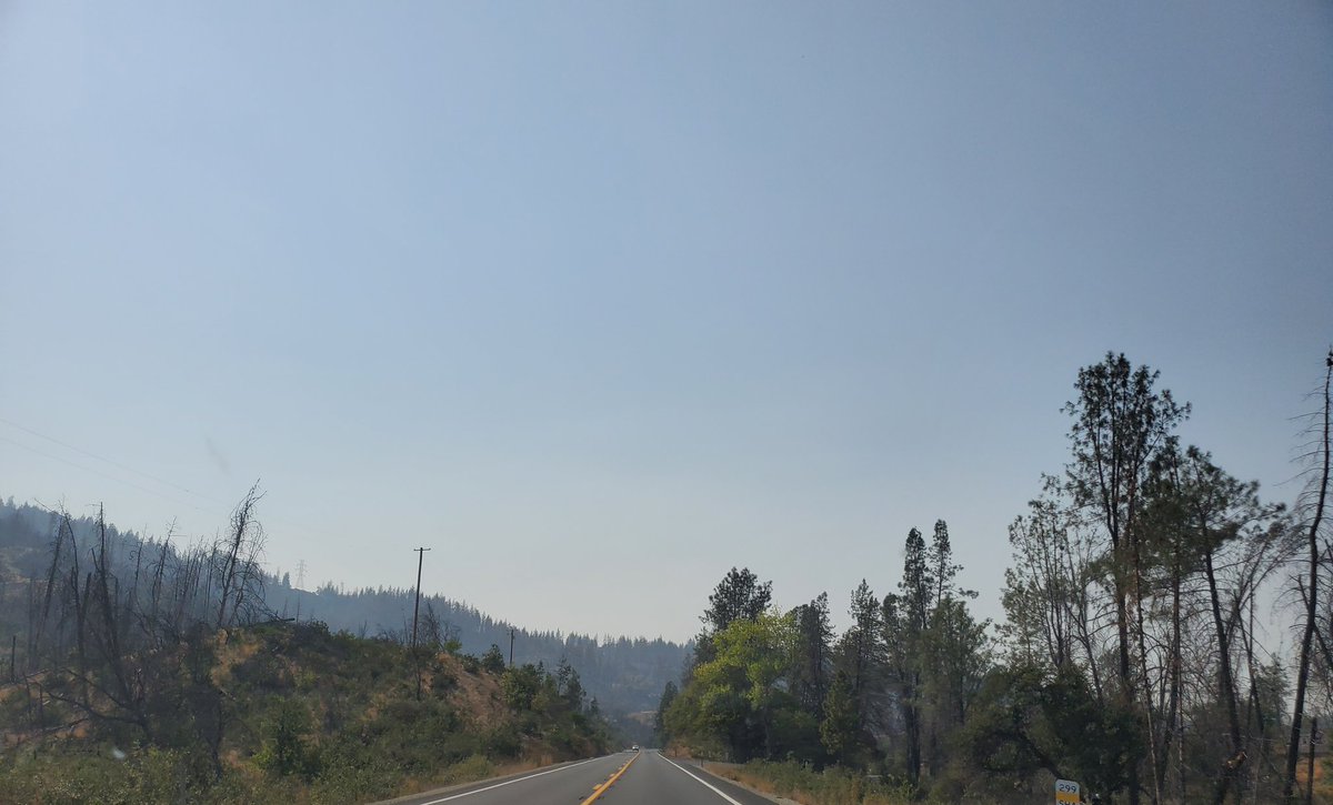 _AlleyAwesome's tweet image. Shasta, burn scar from 3 years ago, with new growth and smoke from the fires around #Shasta #shastatrinity #MonumentFire