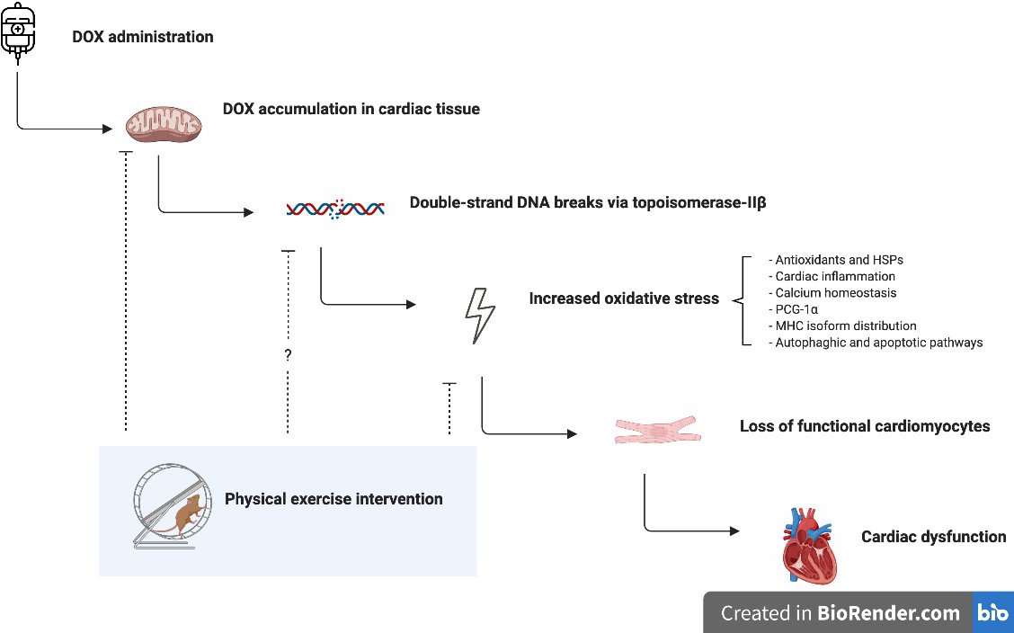 Dr. Wim Groen tweet media