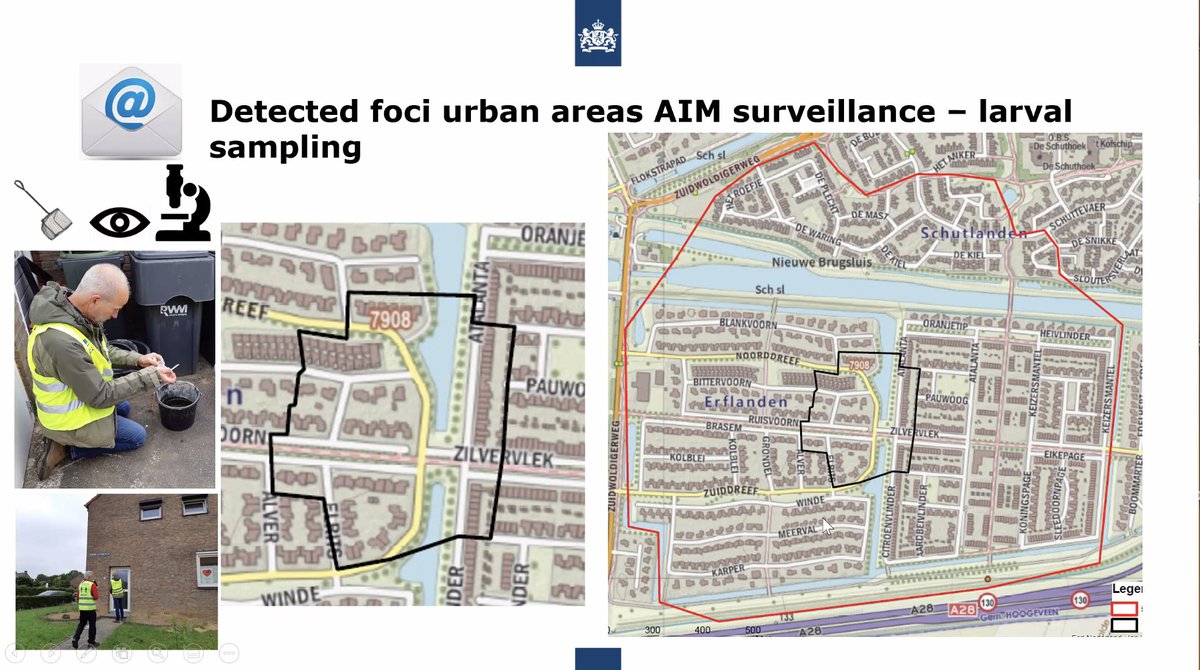 aedescost's tweet photo. 💻Talk: <<Precision real-time monitoring of control activities against Aedes albopictus in urban areas using GIS apps>>.
🗣️ @Ibanez_Bros from @_NVWA #Netherlands is describing their surveillance system for controlling #mosquito population, also as part of the #AIMSurv campaign 🦟 https://t.co/7Z1zOlCp7M
