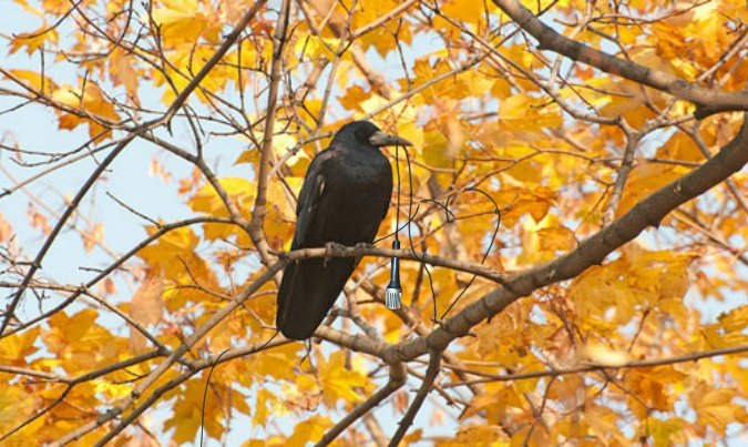 Уж небо осенью дышит вместе со мной в #нюдсочетверг