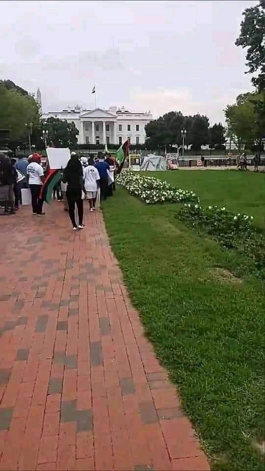 biaframissiontv's tweet photo. BREAKING!!! IPOB Storms U.S. Whitehouse, Demands Nnamdi Kanu's Release (Photos)
#FreeMaziNnamdiKanu
#EndNigeriaNow https://t.co/KygWMbBHbF