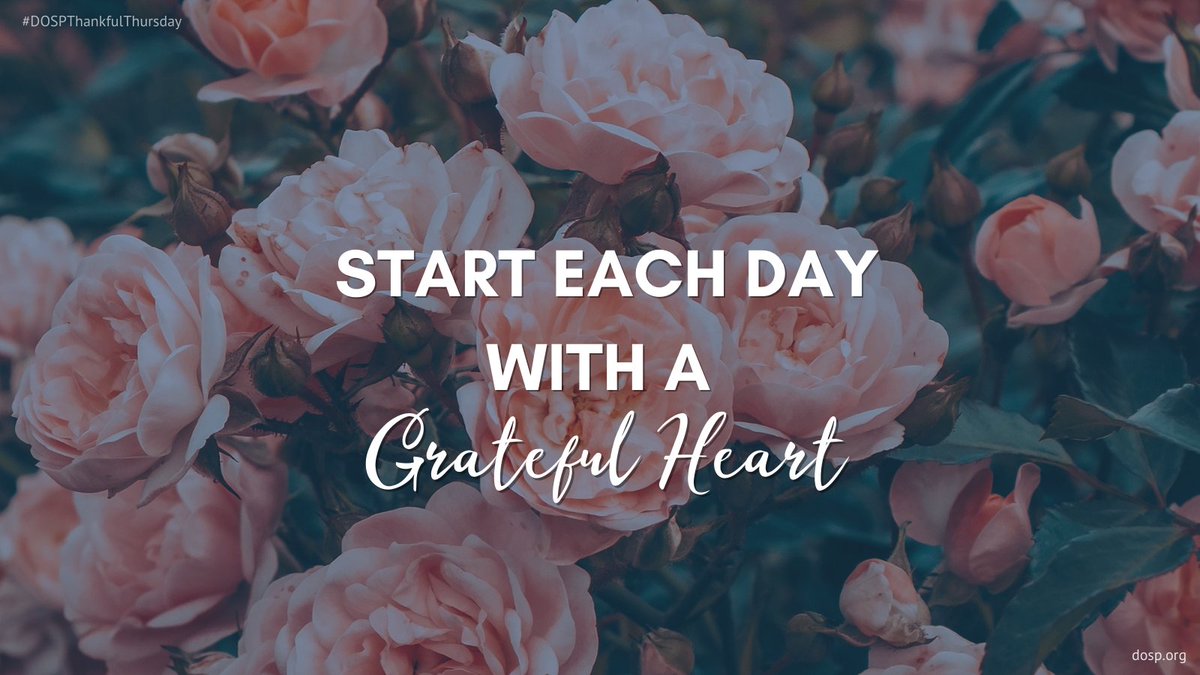 DioStPete's tweet photo. What are you thanking God for today? #DOSPThankfulThursday #courageouslyliving https://t.co/mWGkHvpkxH