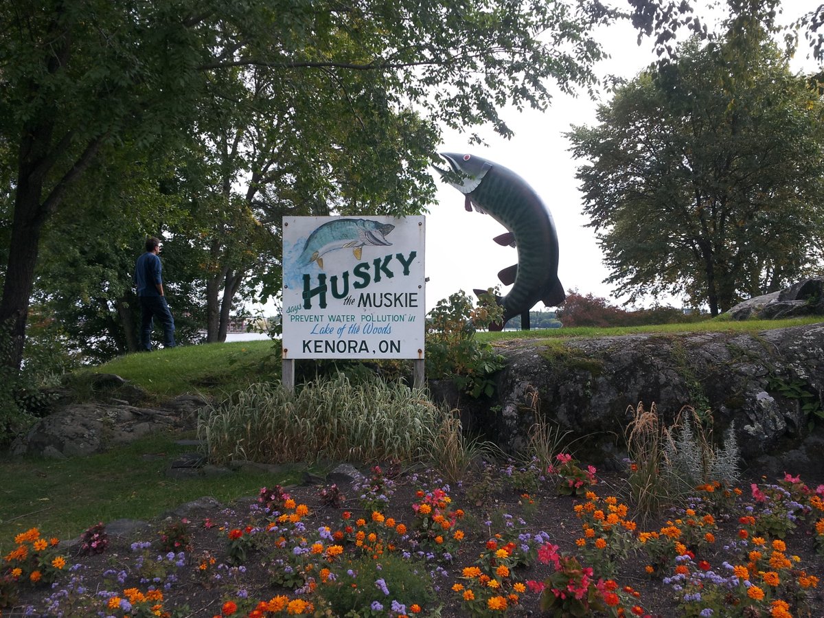 ajezz's tweet photo. This is going to be a close one, but I'm rooting for Husky!
@LizLoveLake @r_quinla @andrewlabaj @drtightline What do you think? https://t.co/BbbZzzmUWg