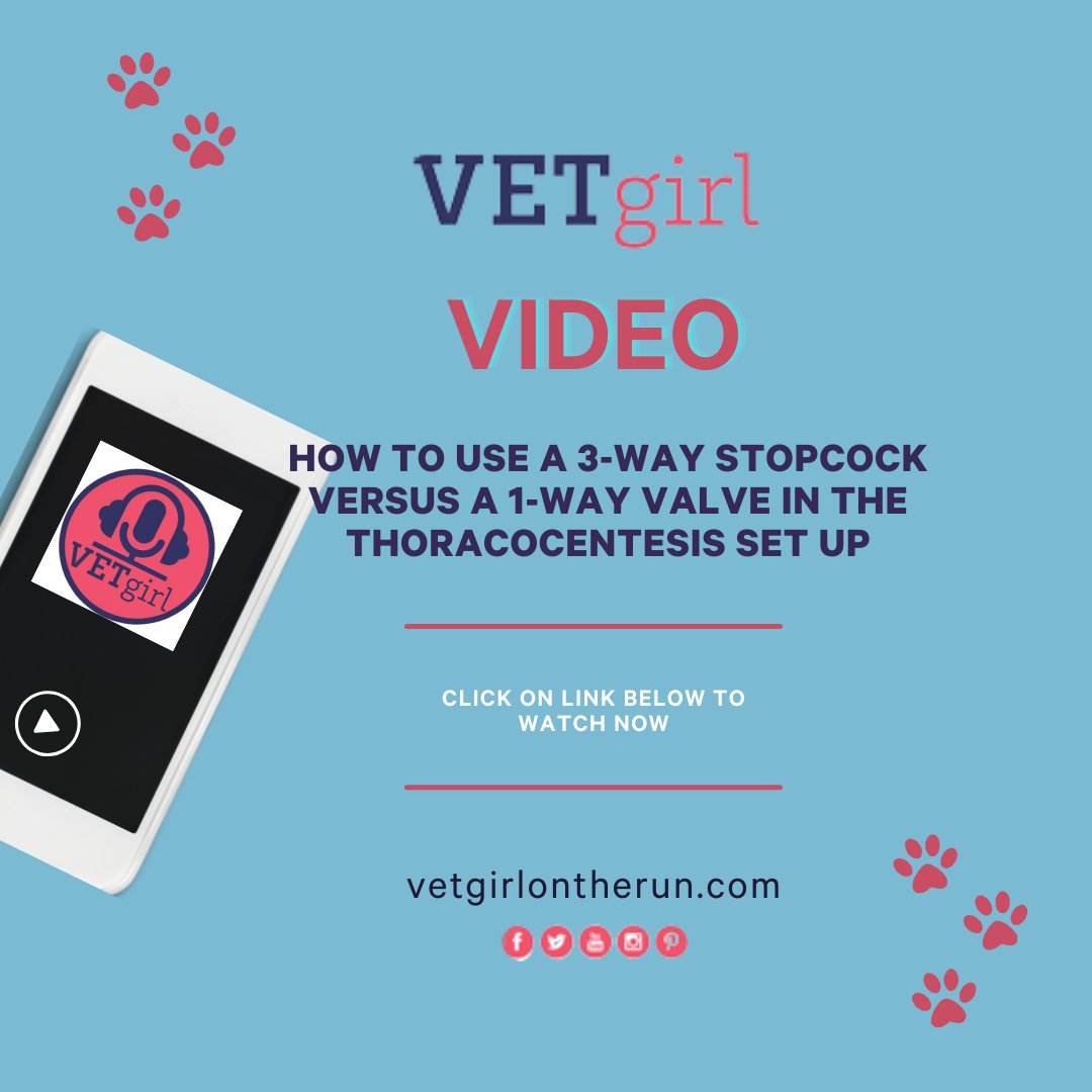 VetGirlOnTheRun's tweet image. #vetgirl #video #thoracocentesis #vettech #vetmed #veterinary #veterinarian #veterinarystudent

ow.ly/CAe750FYNCX
