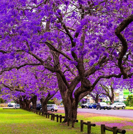 RashadaWrites's tweet photo. “Be the change that you wish to see in the world.”  - #quotes 💜#nature #photography https://t.co/SNcMw18Hi6