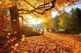 BeingBlairLedet's tweet photo. We have a beautiful fall-like forecast as we get into the month of September! 

Fall doesn’t officially start until the 22nd, BUT I want to know YOUR favorite things about this season! 

We will share some of your answers on air in a moment! 

@FOX2now @KPLR11 #fallapproaching https://t.co/UQRpLGyg1D