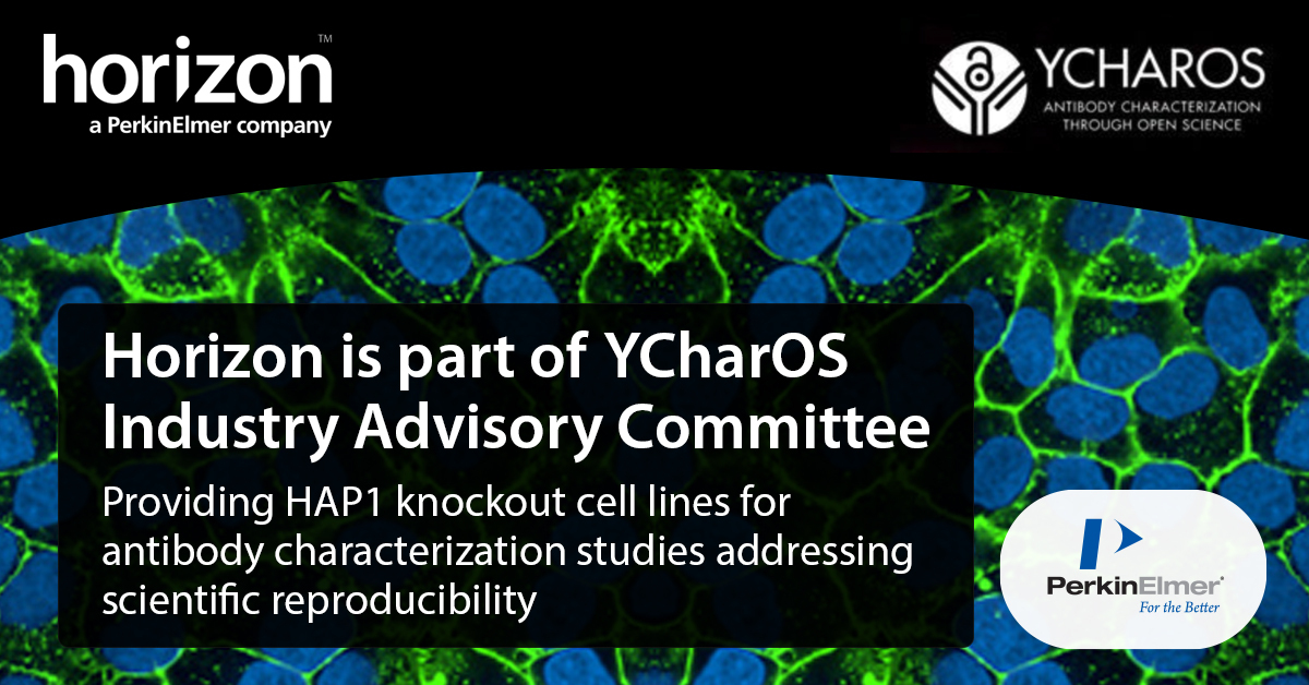RevvityLifeSci's tweet photo. We are proud that our @HZDiscovery business is in collaboration with @YCharOS1 Inc. in their Industry Advisory Committee. Read this news story to get a glimpse of the first data set that is now publicly available: https://t.co/q2NYihaTO0
#InspiredCellSolutions #OpenScience https://t.co/M19CoF1SDz