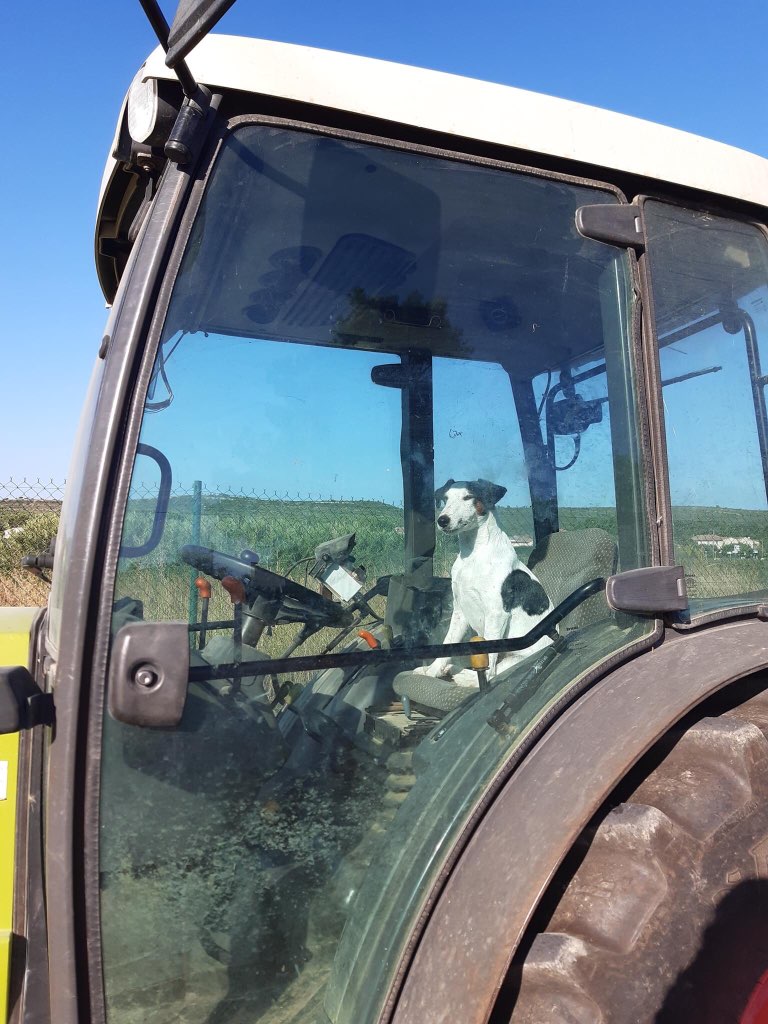 La Coopération Agricole - Vignerons Coopérateurs tweet media