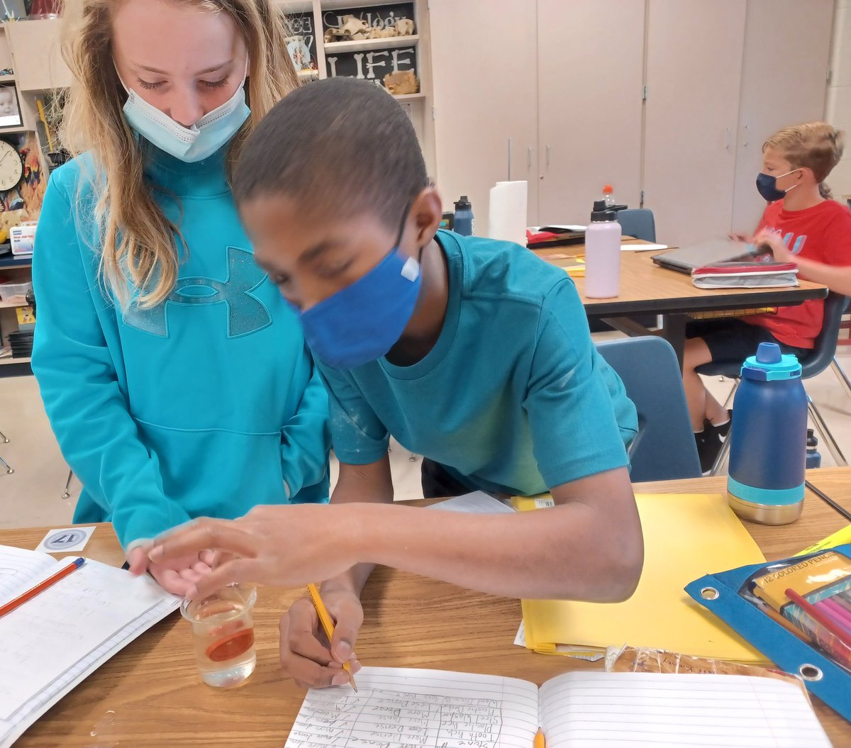 MrCoppes's tweet photo. Want your kids to learn about magnetism? Let them work with magnets.  Want you class to learn about density?  Have them put objects in water.  Hands on wins every time.

Donate:
https://t.co/NQHM7FVt5t

@alliantgroup,  @RickettsDeirdre  @CaseyWeather @DorinaCG7 @Dhavaljadav02 https://t.co/d8aS53WdcM