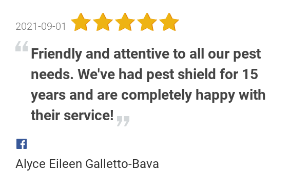 PestShieldSTL's tweet photo. New 5.0-star Review: "Friendly and attentive to all our pest needs. We've had pest shield for 15 years and are... https://t.co/z8LSSHxJod