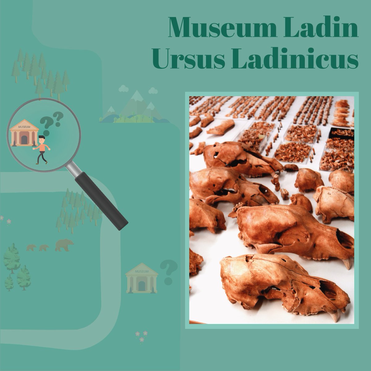 MuseoDolom_it's tweet photo. ❌🔎 La Caccia all'oggetto nei #dolomitesmuseum oggi si ferma al:

🐻Museum Ladin Ursus Ladinicus

☠️Gli oggetti che vi invitiamo a scoprire sono i resti dell'Ursus Ladinicus, un antico abitante di queste montagne!

@DolomitesUNESCO https://t.co/ZDsrDG3nST
