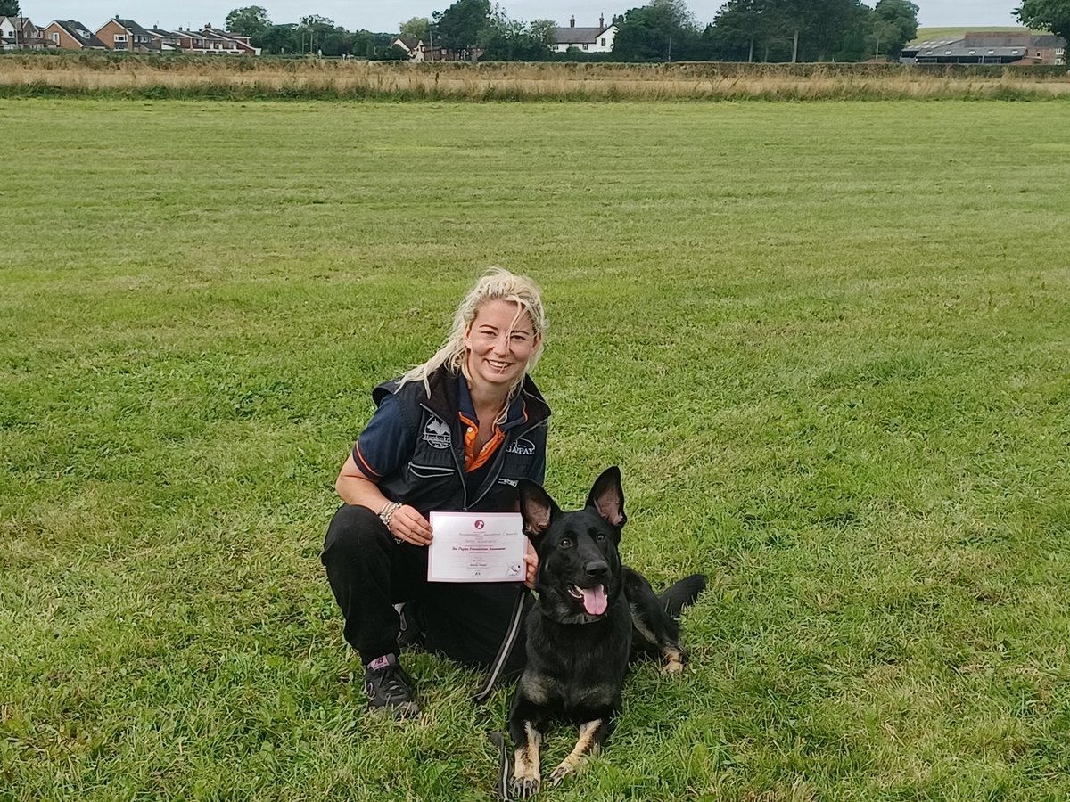 K9_Core's tweet photo. #Hundenkraft Sensation aka Senna is on our #pup2pd scheme and is off to join @GlosPolDogs whens she's old enough. In the meantime she's just earned her @TheKennelClubUK Puppy Good Citizen award ๐ https://t.co/5iXkK0jfHy